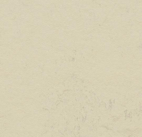Moon Marmoleum Concrete 79 in. Linoleum Sheet - benthunder