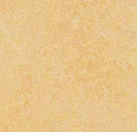 Natural Corn Marmoleum Fresco 79 in. Linoleum Sheet - benthunder