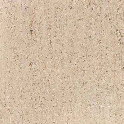 Frothy Latte iQ Optima Tile 24