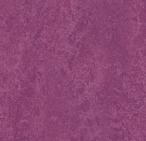Summer Pudding Marmoleum Modular Color 19.7