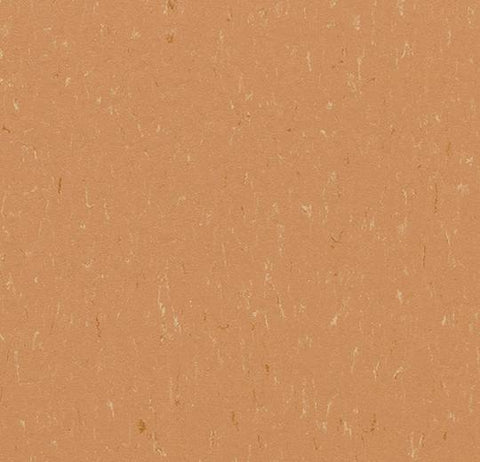 Fox Marmoleum Piano 79 in. Linoleum Sheet - benthunder