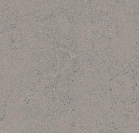 Satellite Marmoleum Concrete 79 in. Linoleum Sheet - benthunder