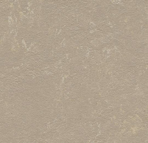 Fossil Marmoleum Concrete 79 in. Linoleum Sheet - benthunder