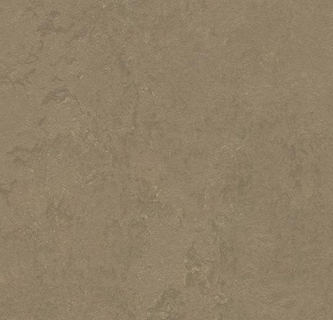 Silt Marmoleum Concrete 79 in. Linoleum Sheet - benthunder