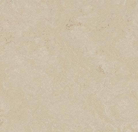 Cloudy Sand Marmoleum Concrete 79 in. Linoleum Sheet - benthunder