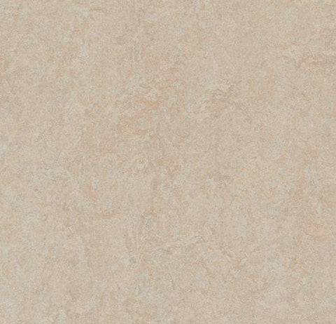 Silver Birch Marmoleum Fresco 79 in. Linoleum Sheet - benthunder