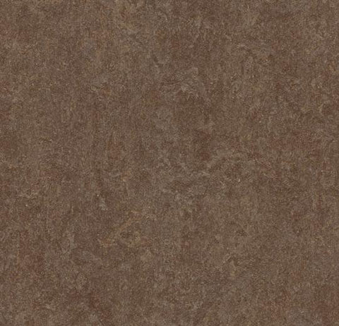 Walnut Marmoleum Fresco 79 in. Linoleum Sheet - benthunder