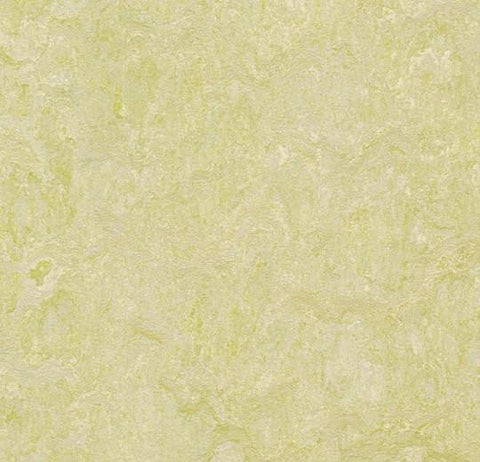 Green Wellness Marmoleum Fresco 79 in. Linoleum Sheet - benthunder