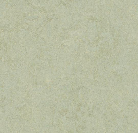 Frost Marmoleum Fresco 79 in. Linoleum Sheet - benthunder