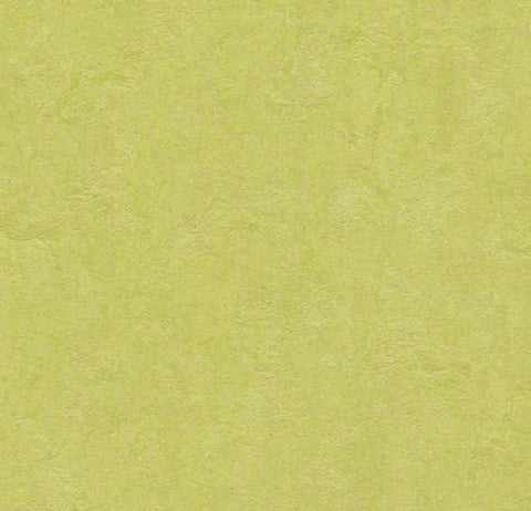 Spring Buds Marmoleum Fresco 79 in. Linoleum Sheet - benthunder