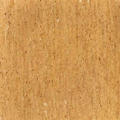 Hot Ginger iQ Optima Tile 24