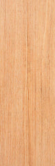 Golden Oak Northern Timbers Vinyl Plank - benthunder