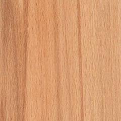 Gingered Beech Northern Timbers Vinyl Plank - benthunder