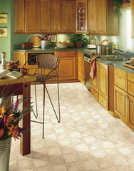 Sandstone Memories Sheet Vinyl - benthunder