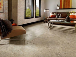 Taupe/Gray Alterna
