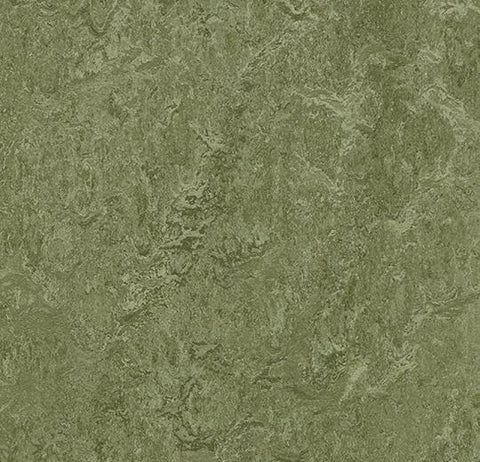 Pine Forest Marmoleum Modular Color 19.7